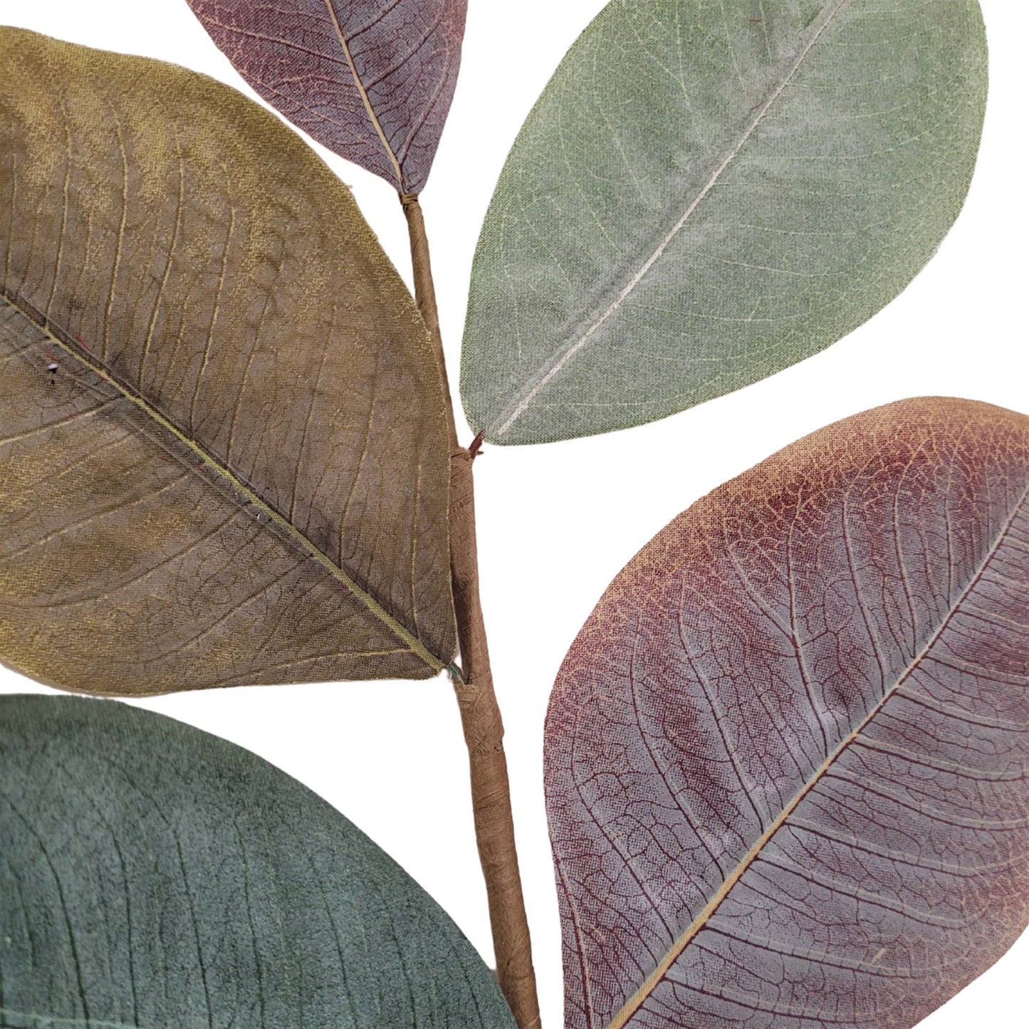 Cypress Hills Magnolia Pick 19''