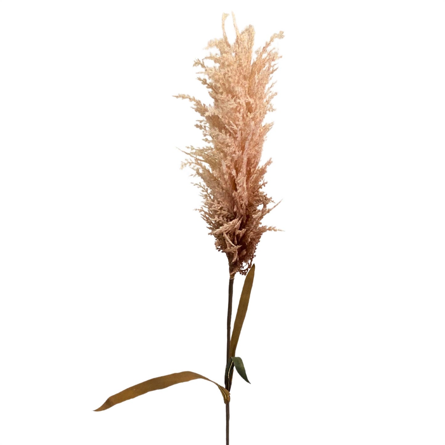 44" Pampas Stem - Cream/Brown