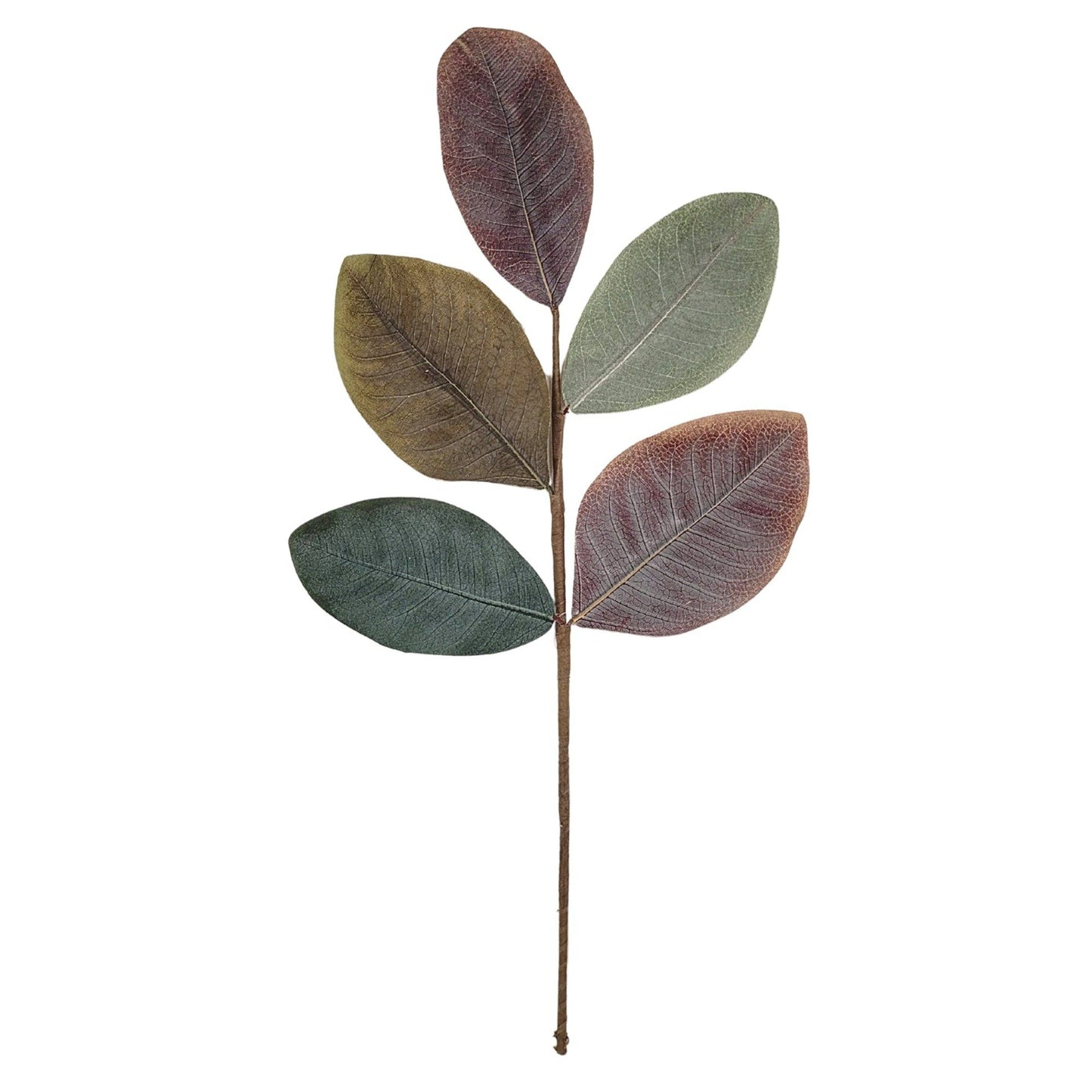 Cypress Hills Magnolia Pick 19''