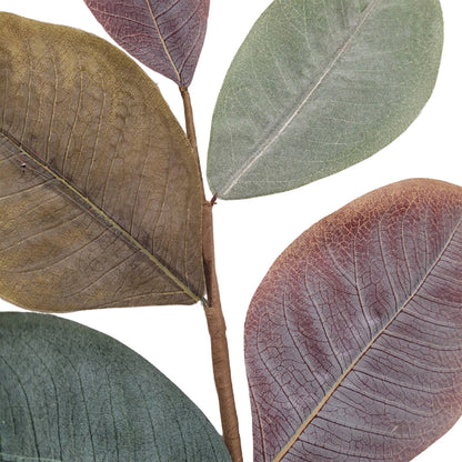 Cypress Hills Magnolia Pick 19''