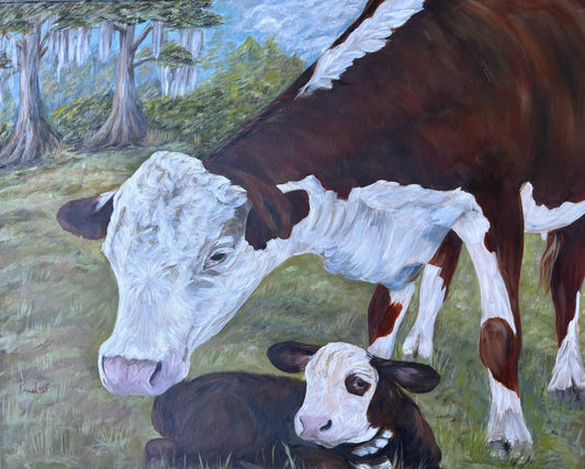 WHITE-FACED COW AND CALF