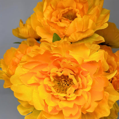 Large Peony Bush x7 - Gold/Yellow 18"