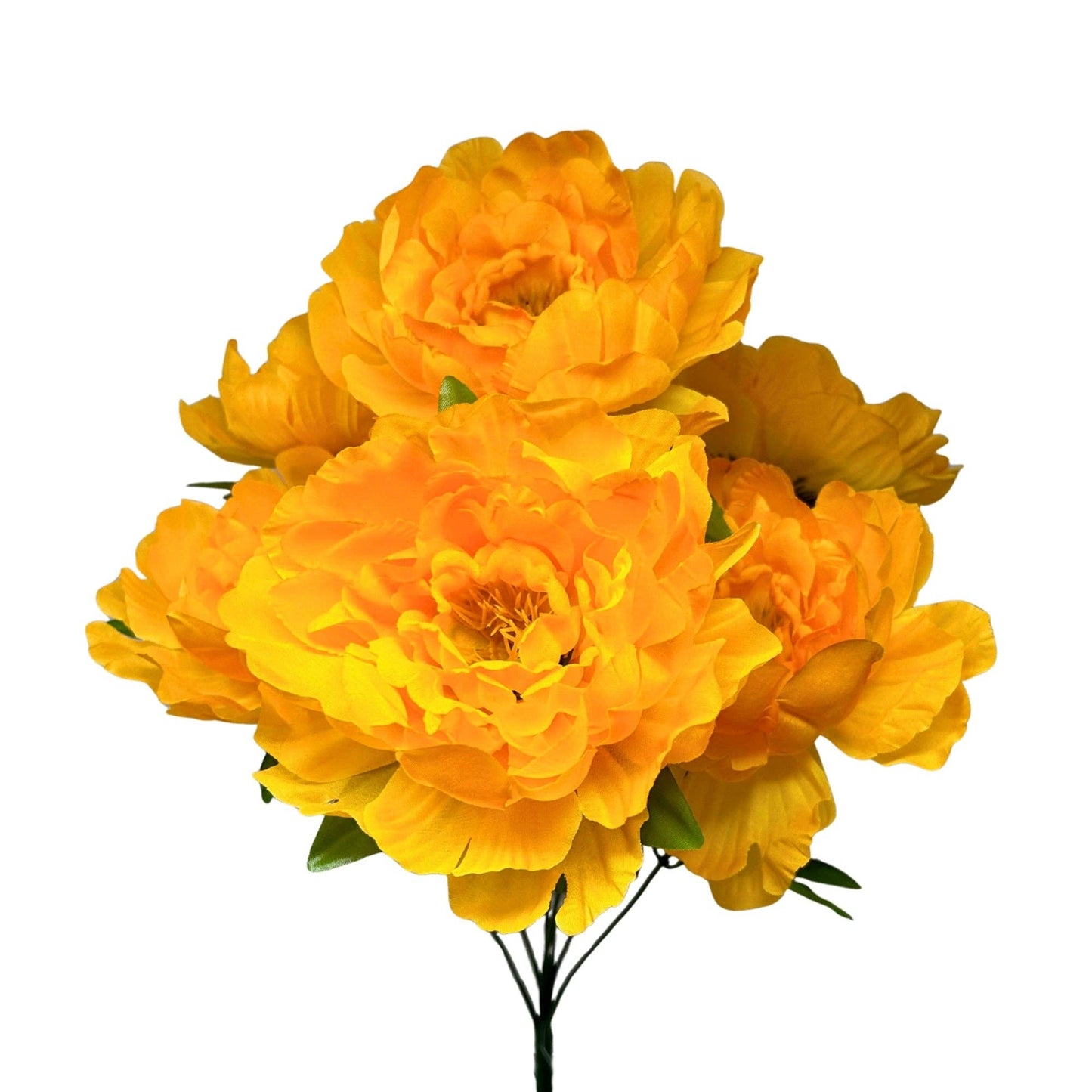Large Peony Bush x7 - Gold/Yellow 18"