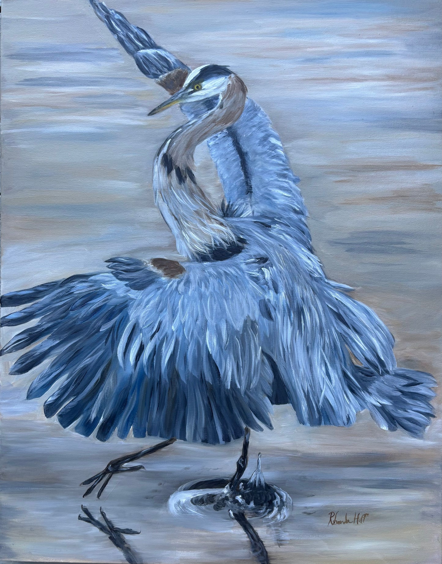 BLUE HERON IN FLIGHT